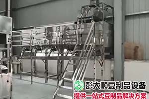 平博pinnacle豆制品设备视频展示2